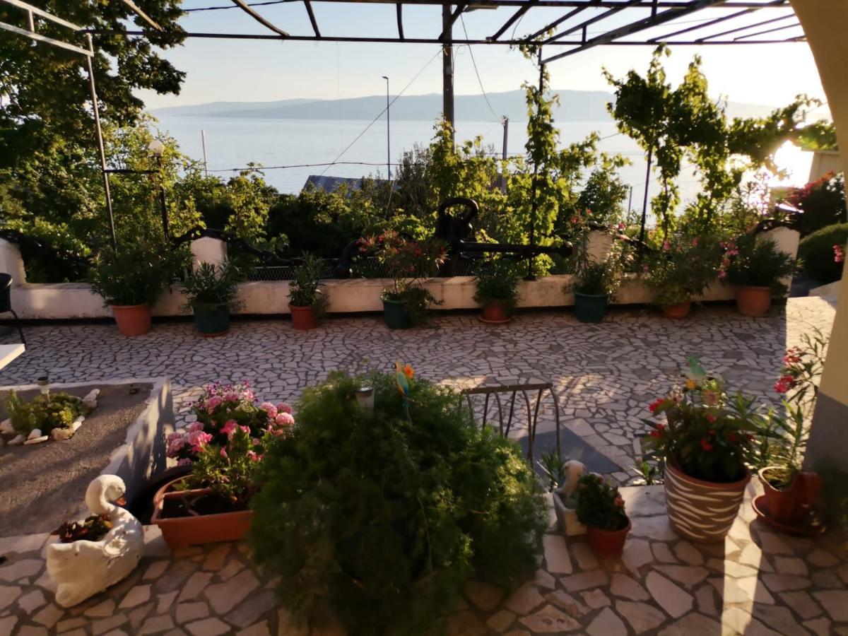 Apartmani Sidro Senj Senj  Exteriér fotografie