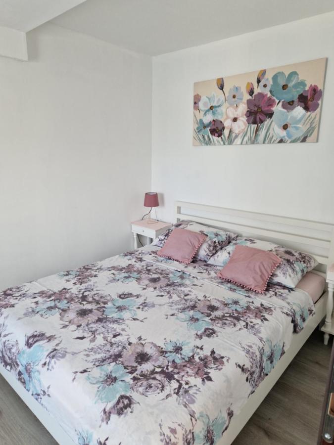 Apartmani Sidro Senj Senj  Exteriér fotografie